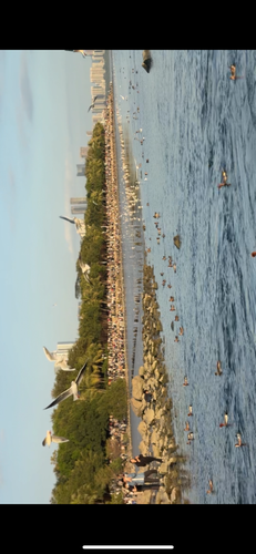 images%2Fimage 1705250009588.png