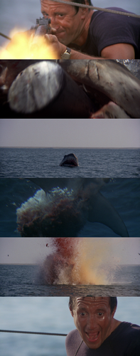 BeFunky collage(11).png