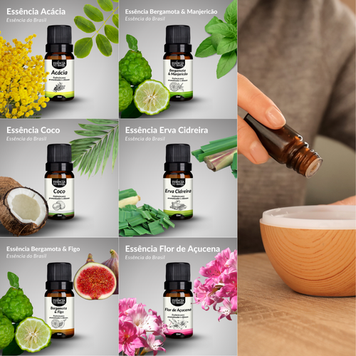 Kit 6 Harmonia Botânica (2).png