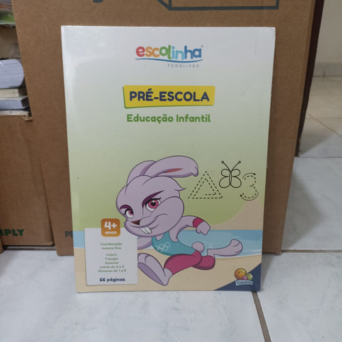 Livro Pré Escola Educação Infantil (Escolinha Todolivro).jpg