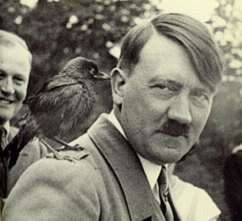 black bird hitler shoulder.jpg