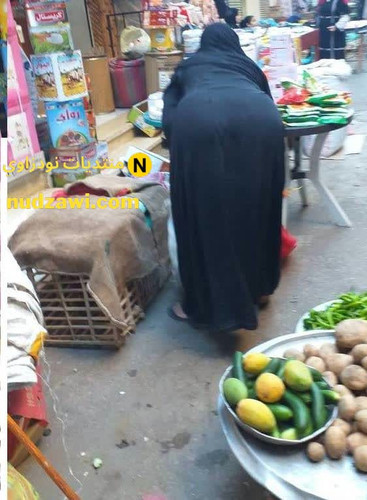 minilien ml 969 10002023 12 12 02 59 46.jpg