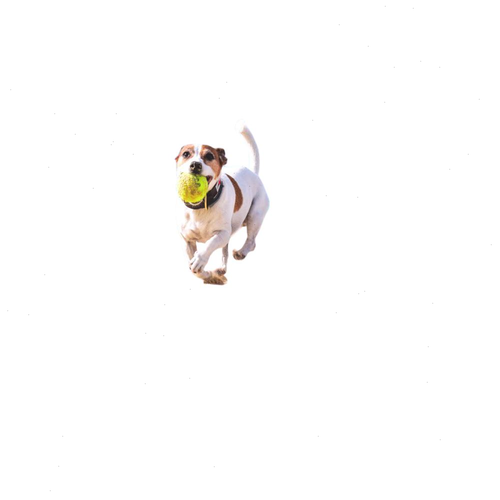 8d319be25efe.png