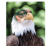 2024 01 15 23.21.47 twitter.com d12939259881.png