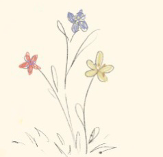 Untitled370 20240115223952.png