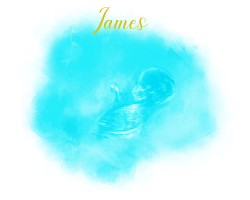 jpeg df5abe65 eda2 44c0 9d3f dd7d0c6df391.jpg