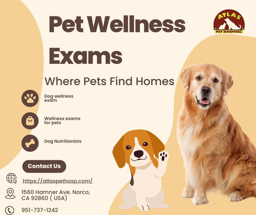 Pet Wellness Exams - Atlas Pet Hospital.jpg