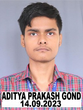 4 ADITYA PRAKASH GOND Copy Copy.jpg