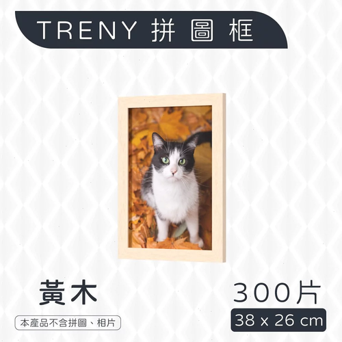 178352681cab.png