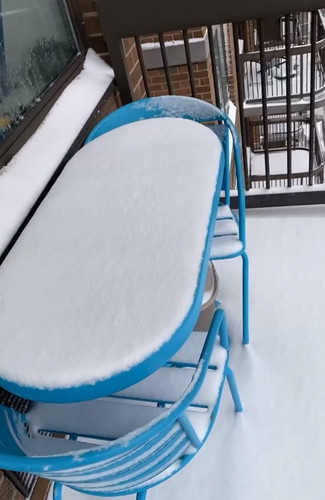 Snow NYC 1 16 24 (4).jpg