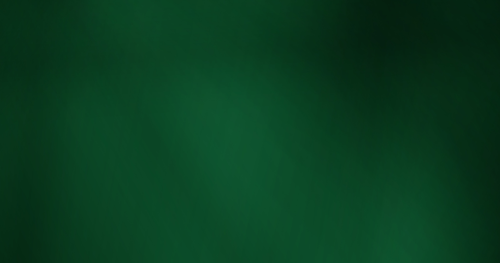 Michaels' Designs (11).png