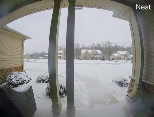 Screenshot 20240116 145830 Nest