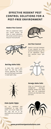 Effective Rodent Pest Control Solutions for a Pest Free Environment.jpg