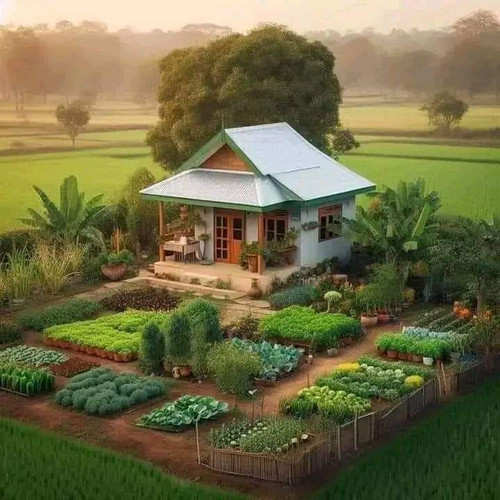 FB IMG 1702549740331.jpg