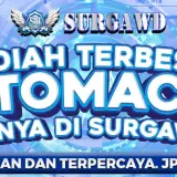 totomacau web.webp