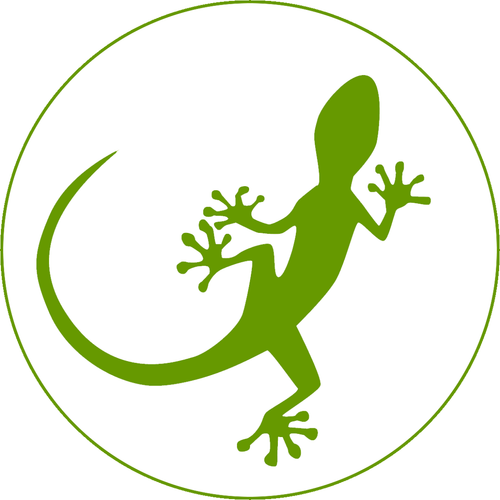 352486102 811844577079438 2096503296203145521 n.png