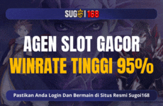 AGEN SLOT GACOR WINRATE 95%.gif