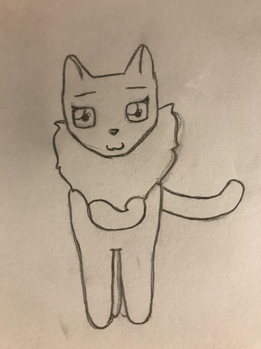 Cutie fluffy pie’s sister.jpg