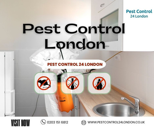 Let Pest Control in London get rid of your pest problem!.jpg