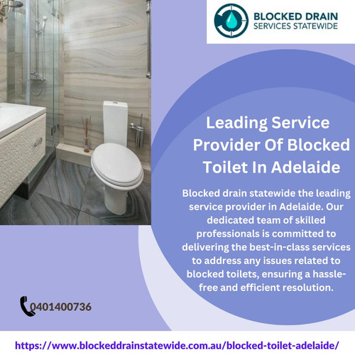  blocked toilet adelaide.jpg