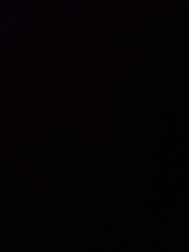 C491F675 5E02 4703 8304 320B07D33B13.jpg