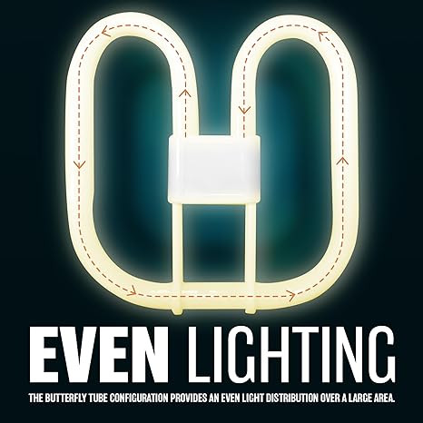 71VngvQG1TL. AC SX466 .jpg