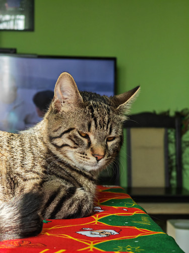 IMG 20240113 110043.jpg