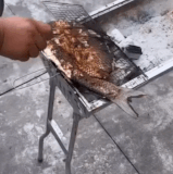 SmartSelect 20240113 173649 Opera.gif