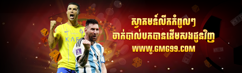 Banner wabsite ball.png