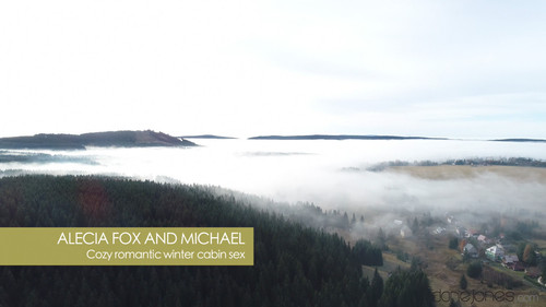 Cozy romantic winter cabin sex.jpg