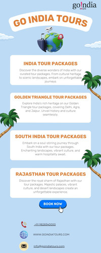 GO INDIA TOURS.jpg