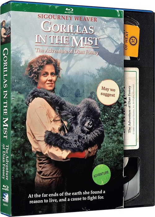 Goryle we mgle / Gorillas in the Mist: The Story of Dian Fossey (1988) PL.1080p.BRRip.x264-wasik / Lektor PL