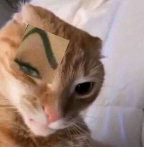 image.jpg