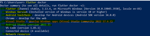 flutter doctor.png