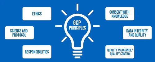 ich gcp clinical principles.jpg