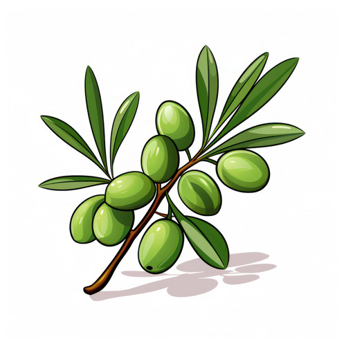 Olive branch isolated on a white background svg ba 00443 01.jpg