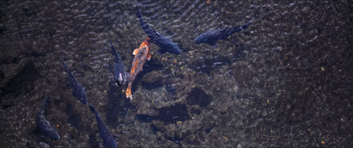 Before.Next.Spring.2022.2160p.WEB DL.DDP5.1.H265.HDR MISS.mkv 20240118 145936.902.png