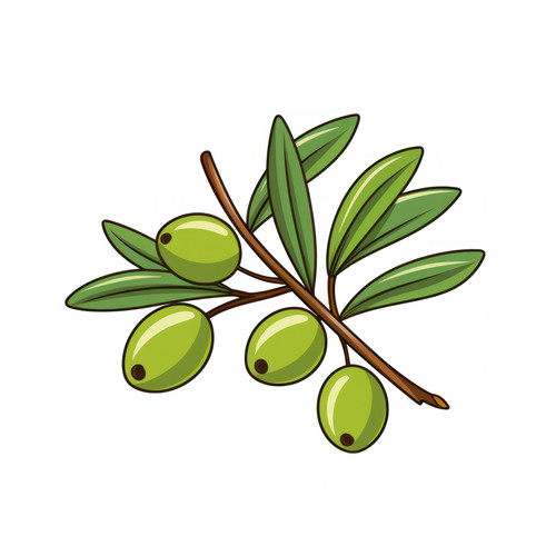 Olive branch isolated on a white background svg ba 00442 01.jpg