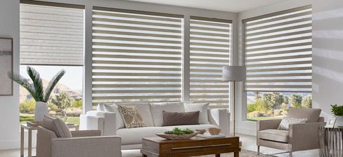 Dual Roller Shades in Edmonton Canada.jpg