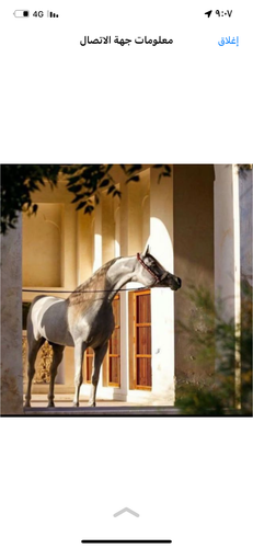 images%2Fimage 1705083413947.png