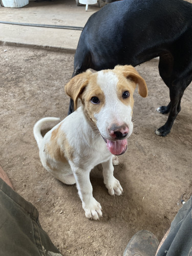 95DBE618 0CA2 4445 82A0 D9D32D12DA27.jpg