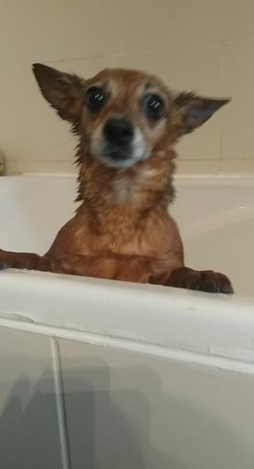 Snapchat 800135258.jpg