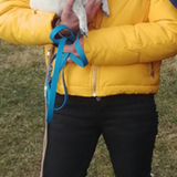 Screenshot 2024 01 12 195252.png