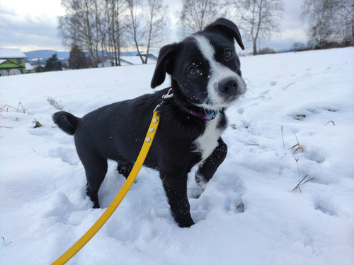 IMG 20240112 134041.jpg