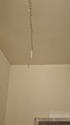 416589983 1585142398892550 7352110601509730396 n.jpg