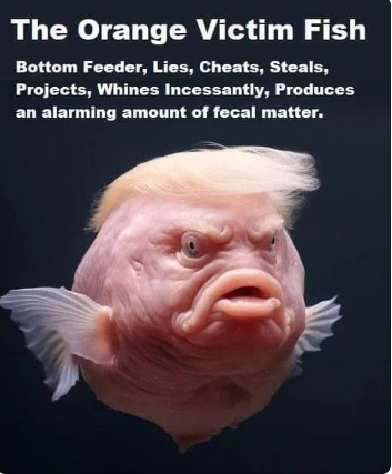 Orange Victim Fish.png