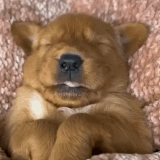 1000020631.gif