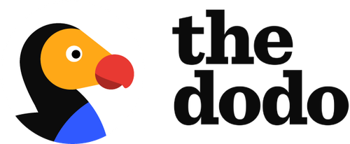 header.png