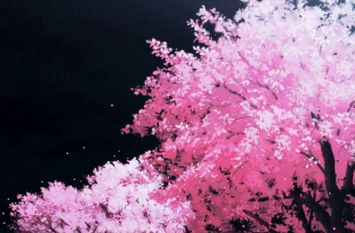 tumblr 634cba0f89156d0c74eff9878c8ee981 e2528e1f 540.gif