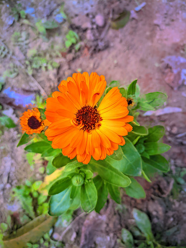 Riyan 20240111 163323 lmc 8.4.jpg